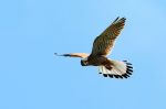Scivolando sui pendii