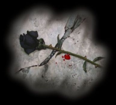 E tu la chiami rosa