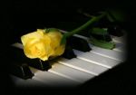 L�eco del mio amore