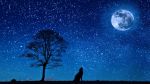 Notte d�insonnia
