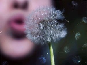 Sogni ancora in polvere