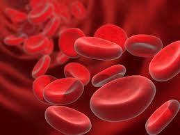Sangue sporco