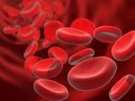 Sangue sporco