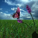 E respirare il cielo