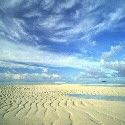 Sar� cielo