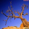 la mia parola nel deserto ascoltata solo dal vento