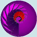 Circolarità del comprendere