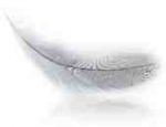 Dove abita l'amore