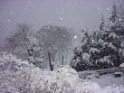 Neve