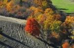 Questo mio ottobre