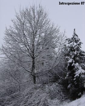L'inverno