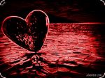 Forse t'amai