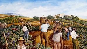 L' odore del mosto