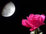 La luna delle fragole