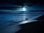 La lunga estate di un addio