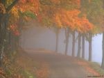 Vivo il mio autunno
