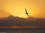 Ora puoi guardare solo gi�