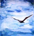 Urlo azzurro