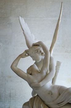 Son terra io  