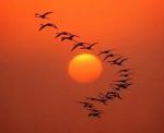 L'urlo sovrumano d'un tramonto