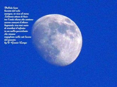 Pallida luna