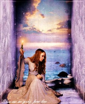 Le liane dell'illusione