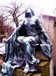 Se sarò statua