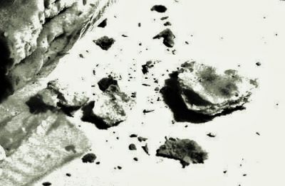 Molliche di poesia