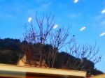 L� Autunno e l� Alba