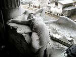 Sterili terre intrise di pianto
