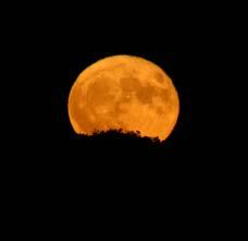Notti di luna piena