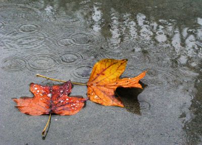 Pioggia d'autunno