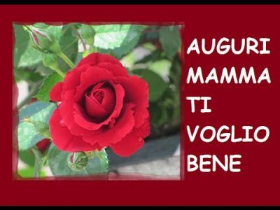 Mi manchi, mamma
