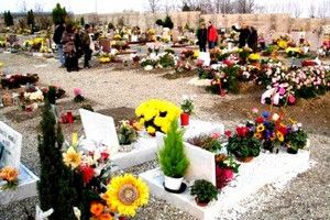 2 novembre