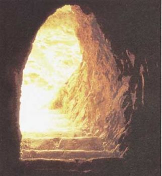 Il seme della speranza
