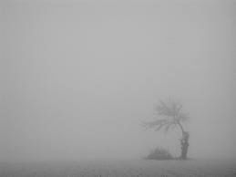 Nebbia