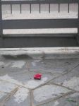 Altri tempi