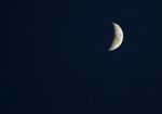 The Night