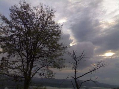 Alberi e nuvole
