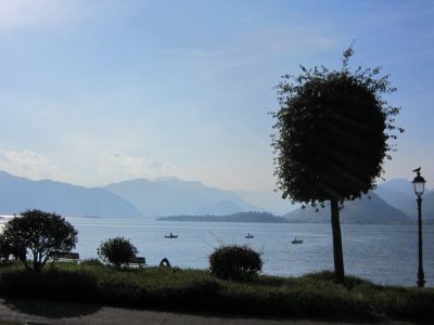 Tiranno