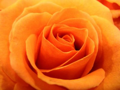 Facciamo l'amore!