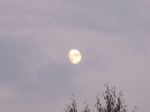 Amore lunatico