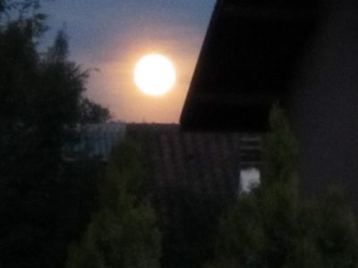 Notte