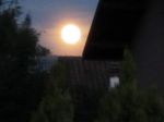 Notte