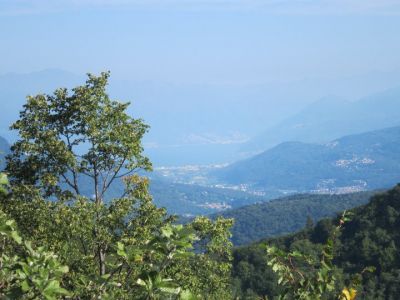 Scelte di vita
