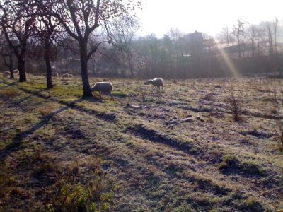 Inverno
