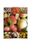 Frutta e verdura  