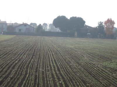 Dopo la semina  