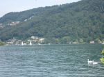 Sete di vita