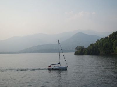 La colomba non vedo